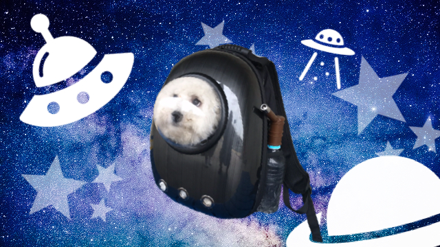 宇宙船型犬用キャリーバック